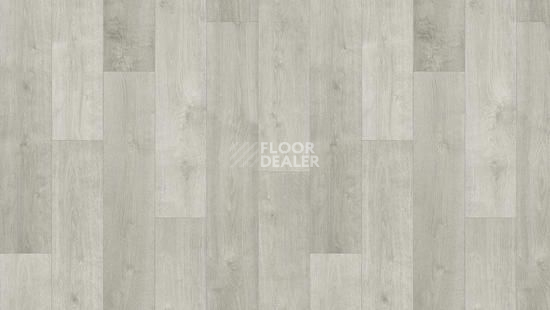 Линолеум Tarkett Фаворит MONDO 2 фото 1 | FLOORDEALER